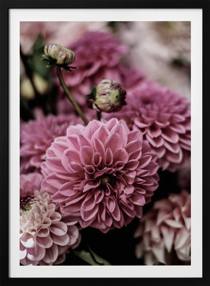 Petal Symphony | Poster