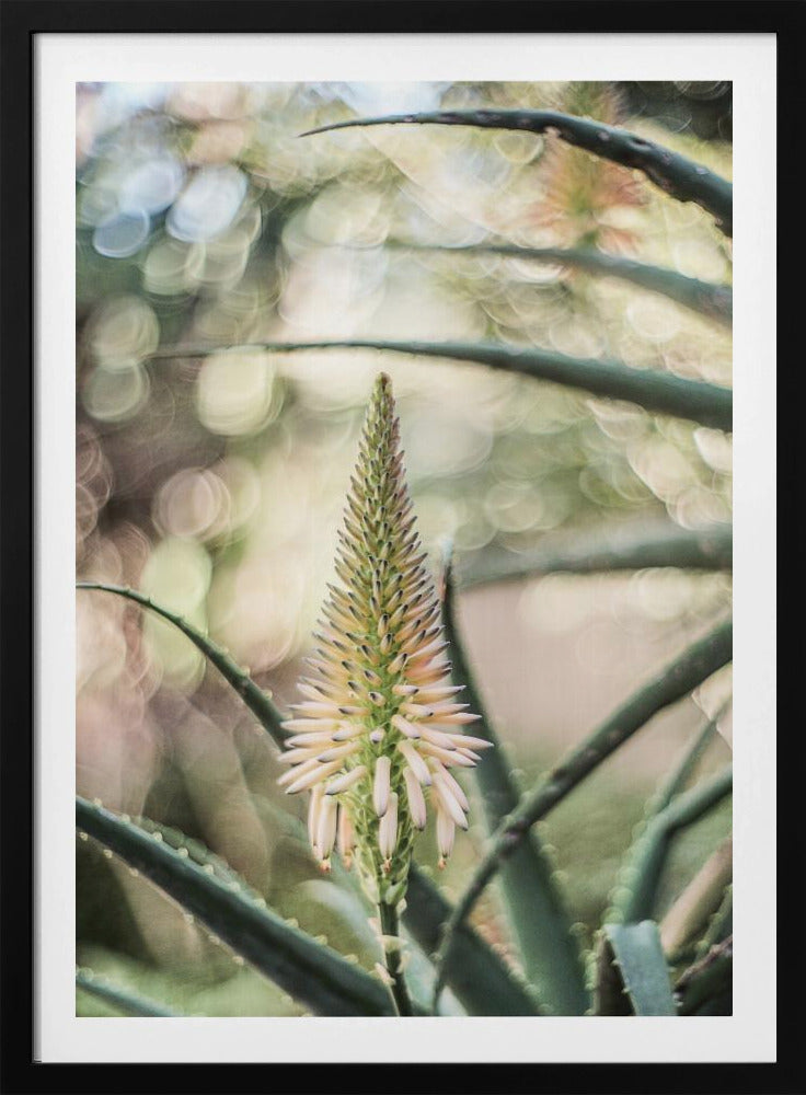 Sappige sereniteit | Poster