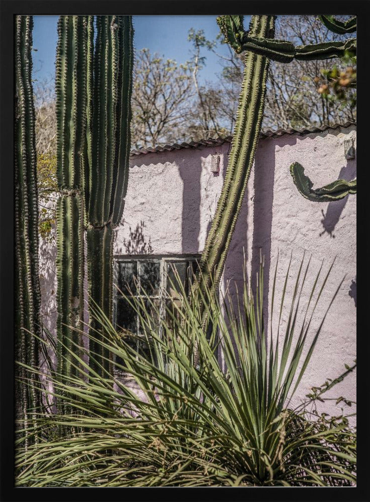 Cactus &amp; Pink Wall | Poster