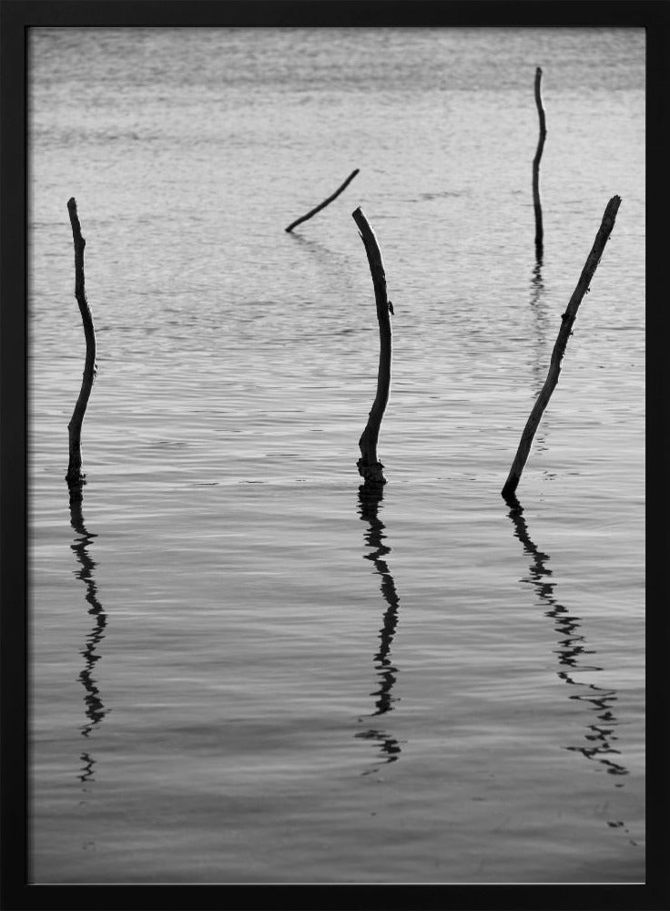 Stille reflecties | Poster