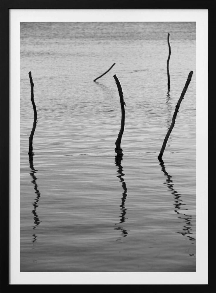 Stille reflecties | Poster