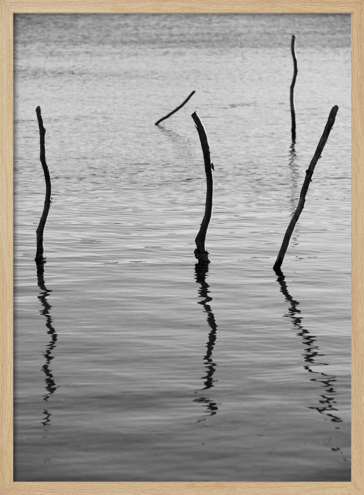 Stille reflecties | Poster