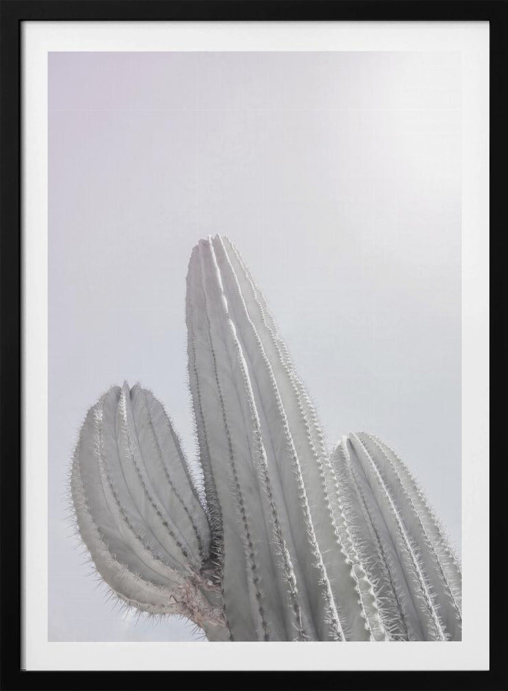 Minimalistische Cactus | Poster