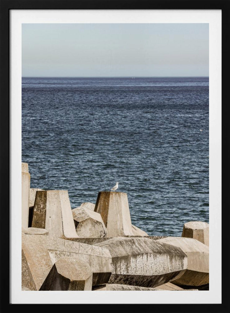 Meeuw aan zee | Poster