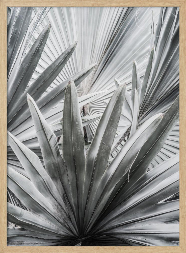 Zilverspray | Poster