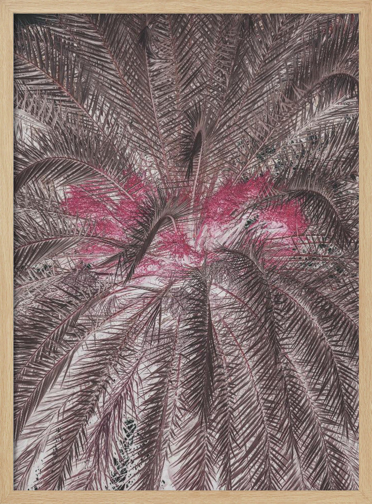 Levendige weergave van palmbladeren | Poster