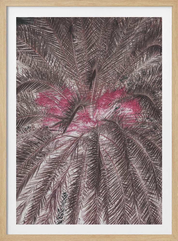 Levendige weergave van palmbladeren | Poster