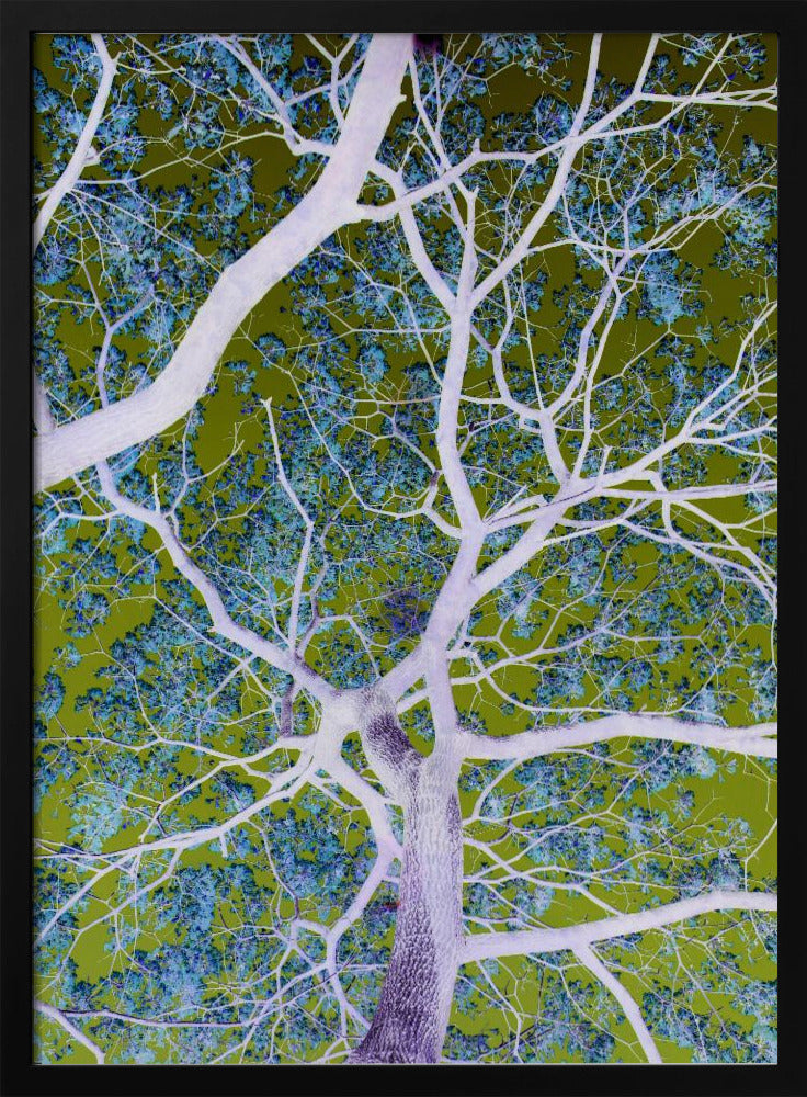 Surrealistische takken | Poster