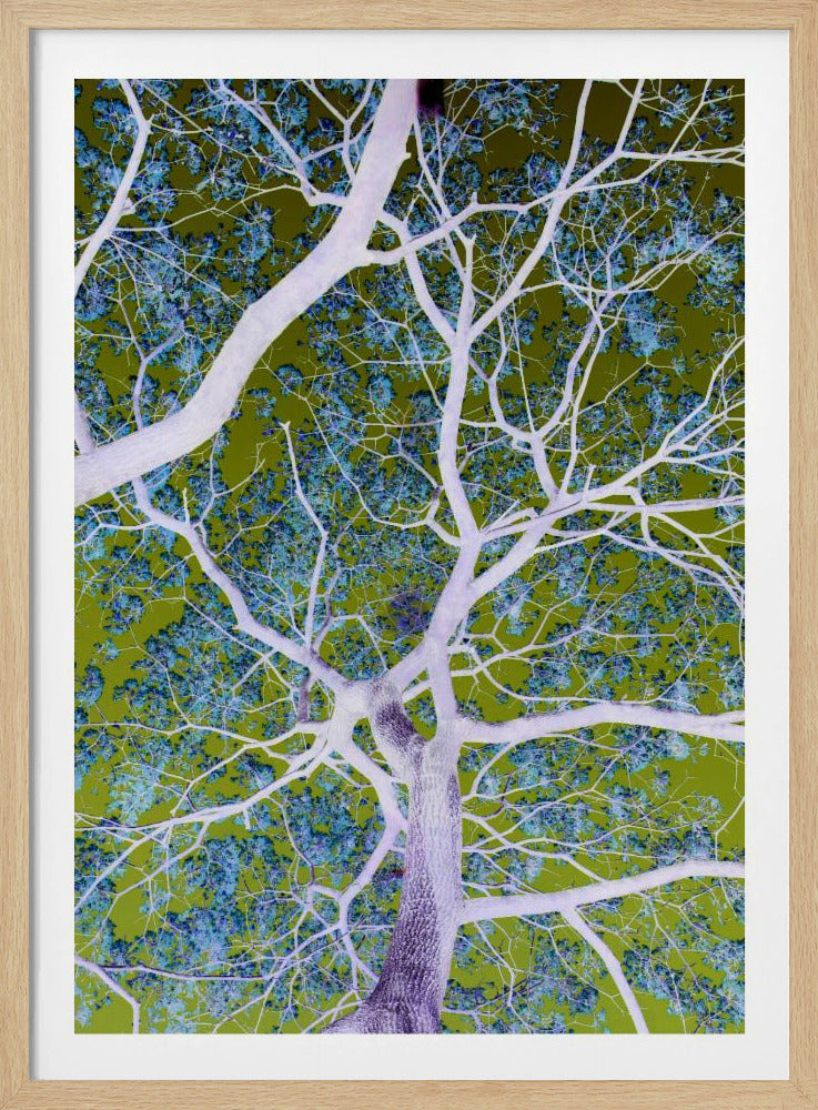 Surrealistische takken | Poster