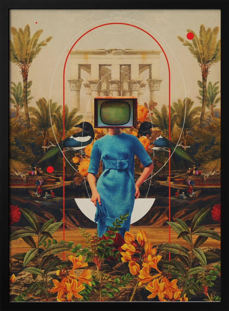Haar Asymmetrieën | Poster