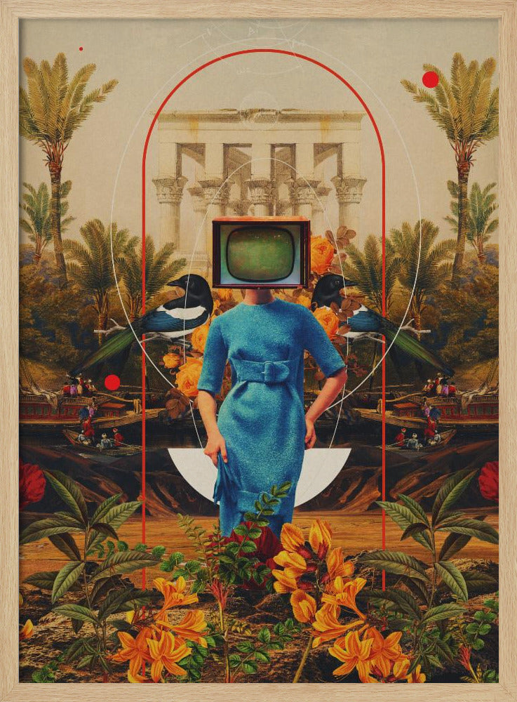 Haar Asymmetrieën | Poster