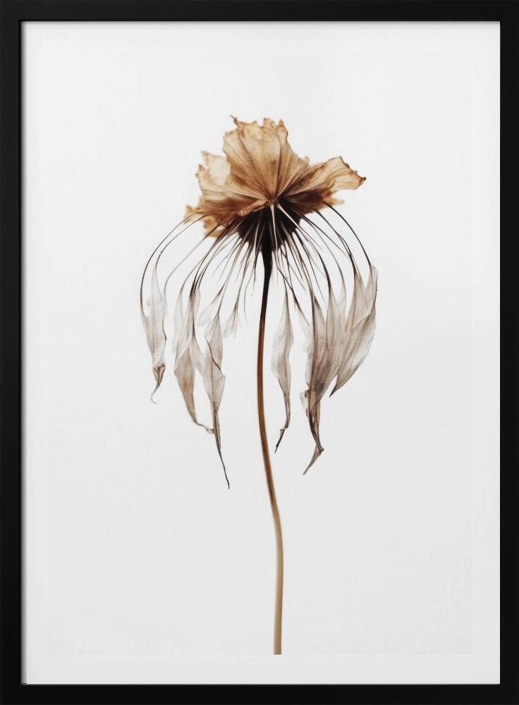 Faded Elegance | Poster