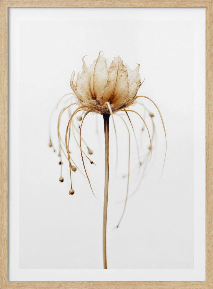 Ethereal Bloom | Poster