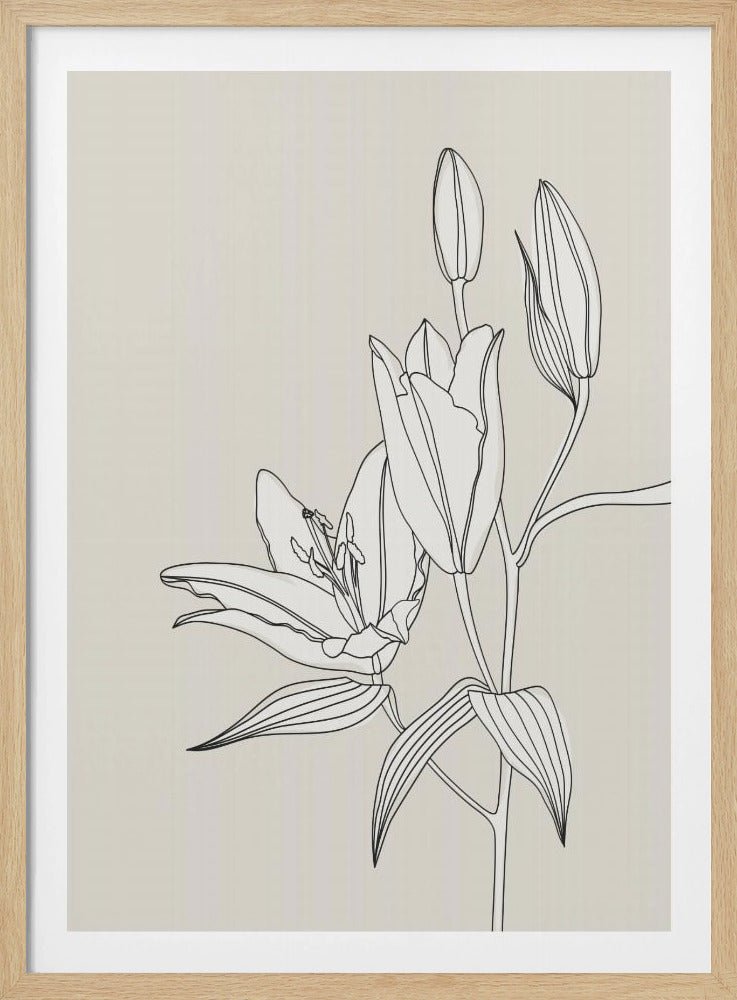 Lijnkunstlelies in beige | Poster