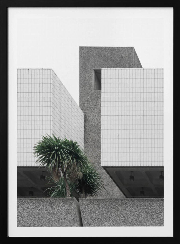 Eenzame Palmen | Poster