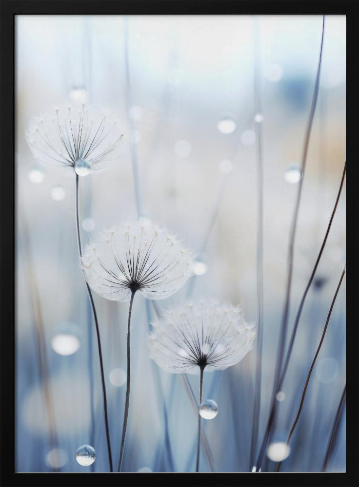 Fluisterende Zaden | Poster