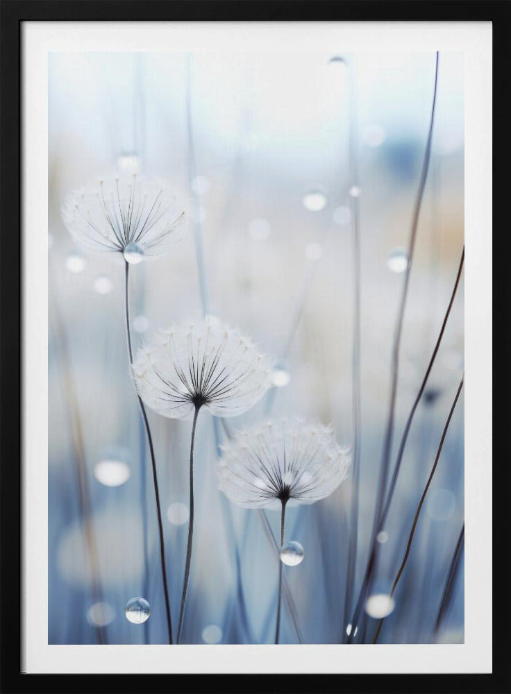 Fluisterende Zaden | Poster