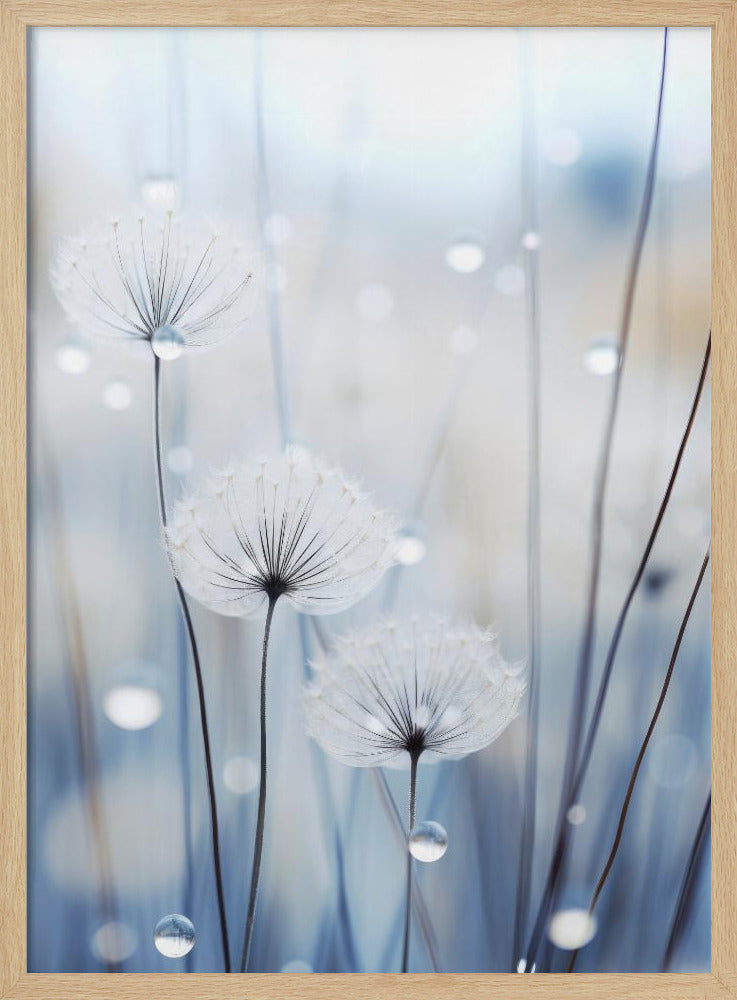 Fluisterende Zaden | Poster