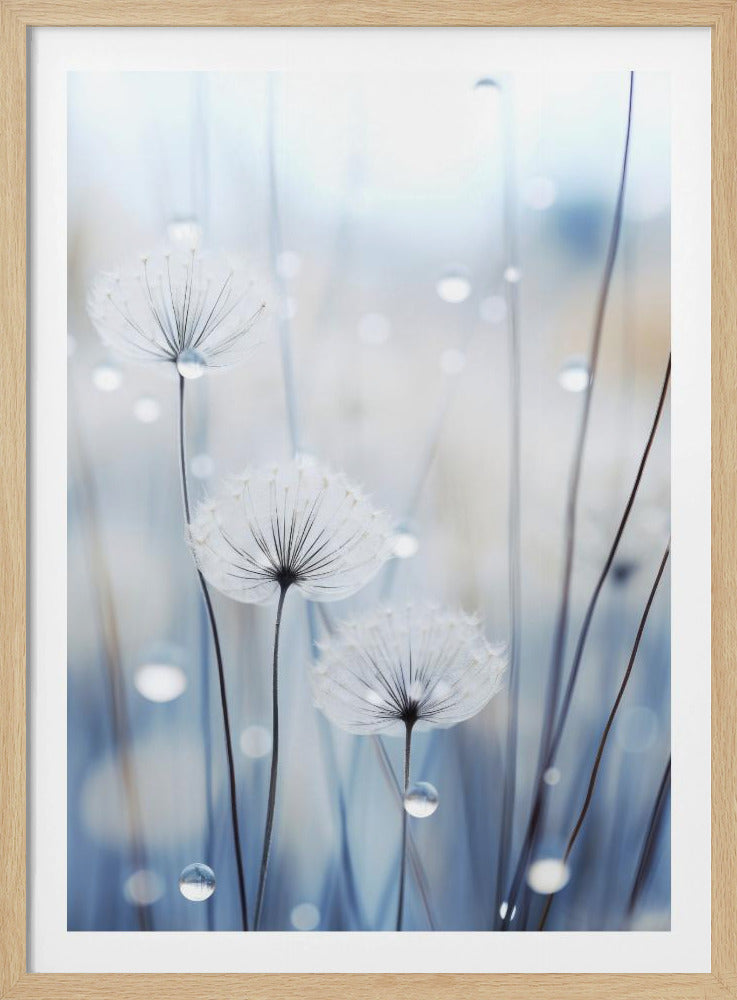 Fluisterende Zaden | Poster