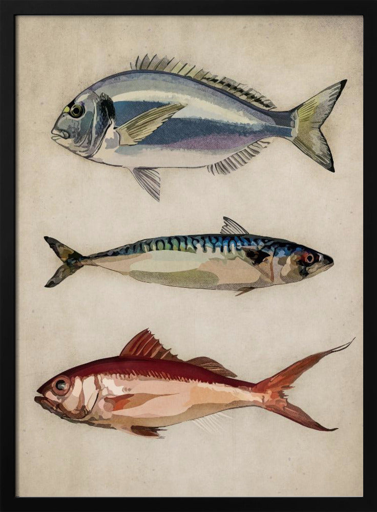 Trio van oceaanleven | Poster
