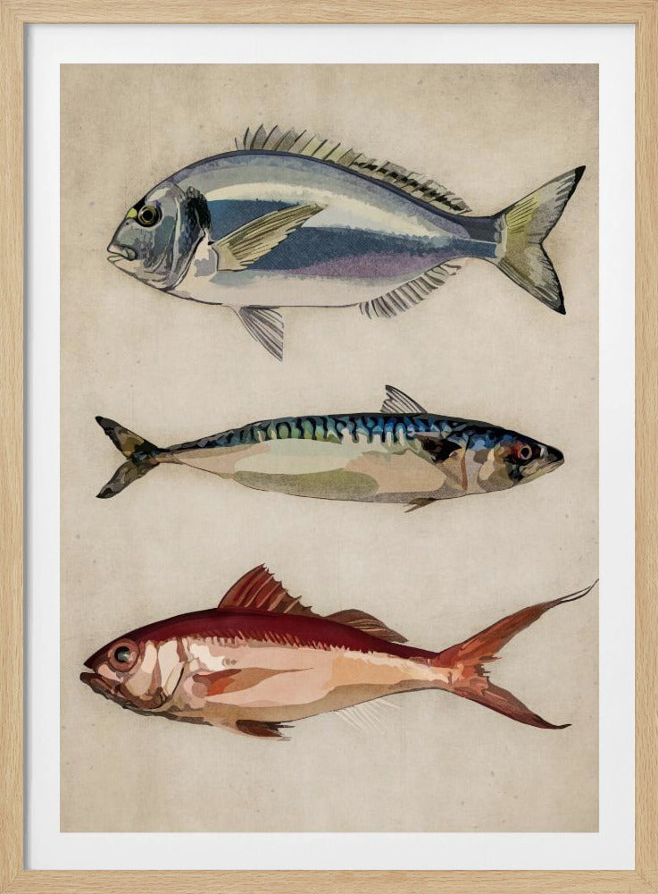 Trio van oceaanleven | Poster