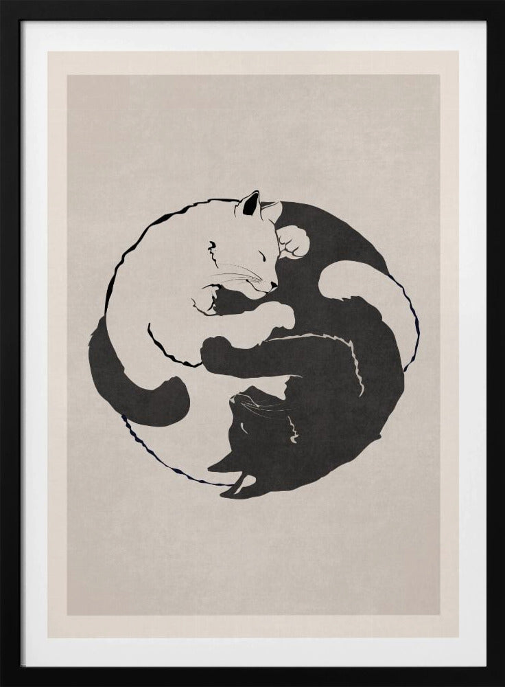Kattenharmonie | Poster