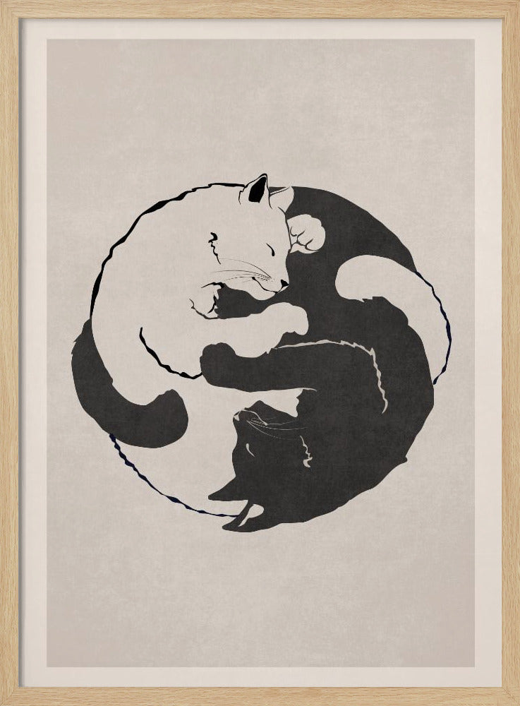 Kattenharmonie | Poster