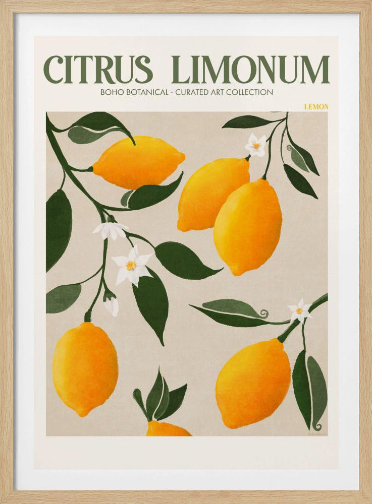 Gouden Citrus Delight | Poster