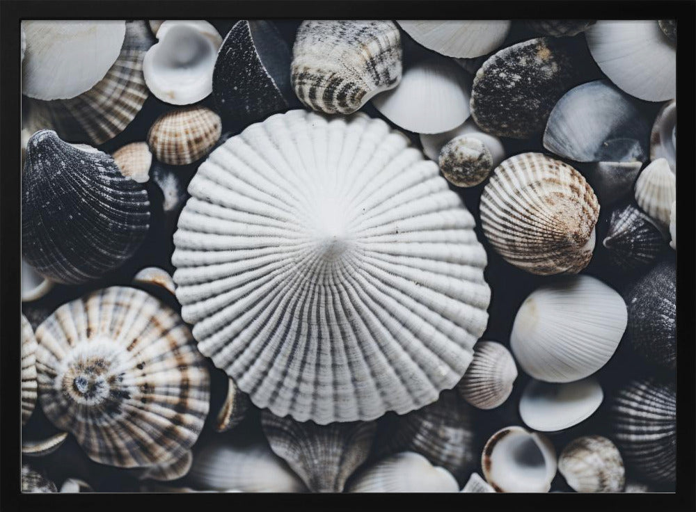Shell Symfonie | Poster