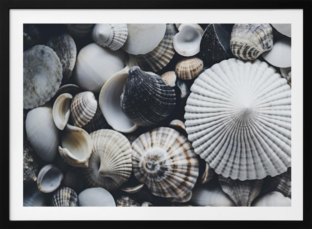 Shell Symfonie | Poster