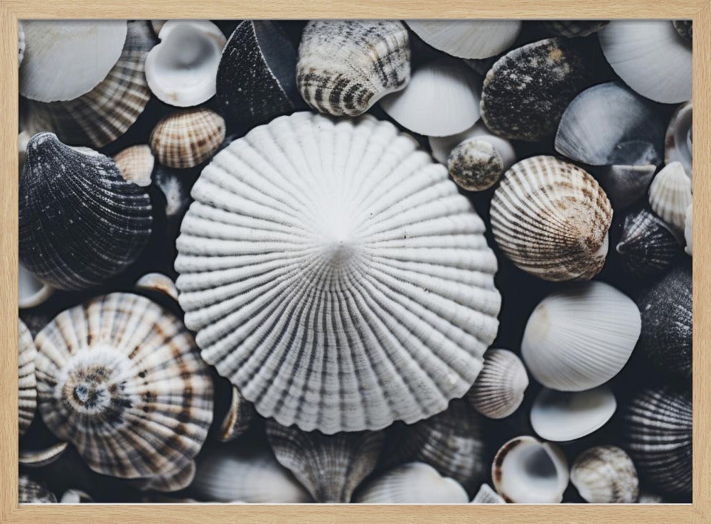 Shell Symfonie | Poster