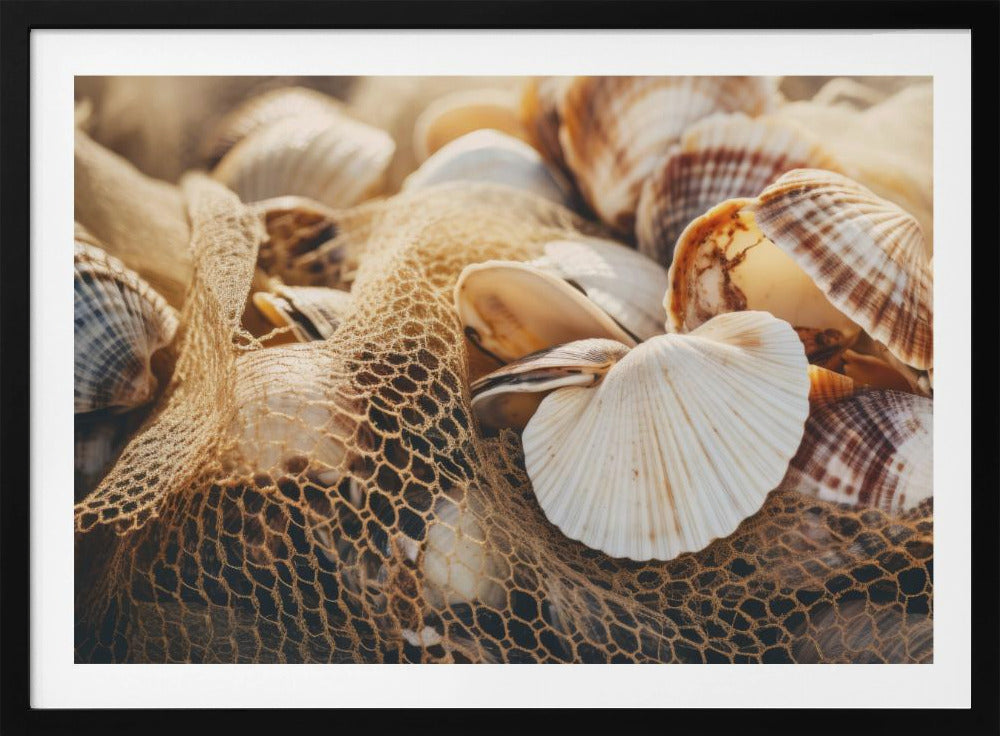 Schelpensymfonie | Poster