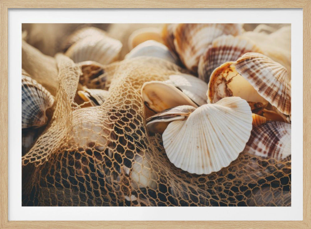Schelpensymfonie | Poster