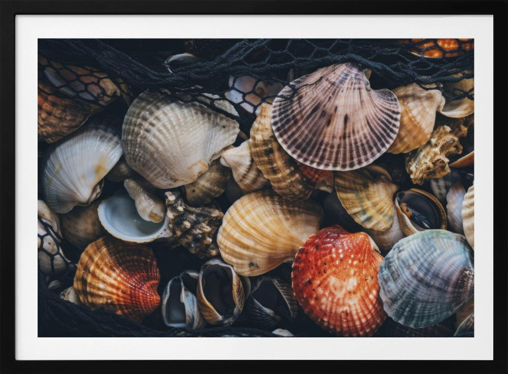 Shell Symfonie | Poster