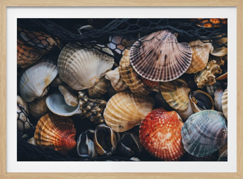 Shell Symfonie | Poster