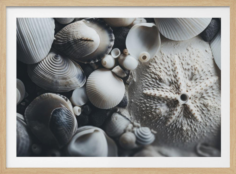 Seashell Symphony | Poster