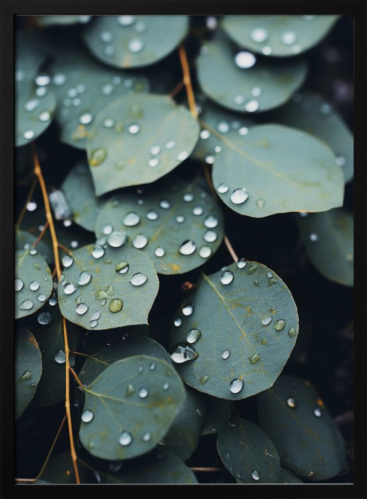Door de regen gekuste bladeren | Poster