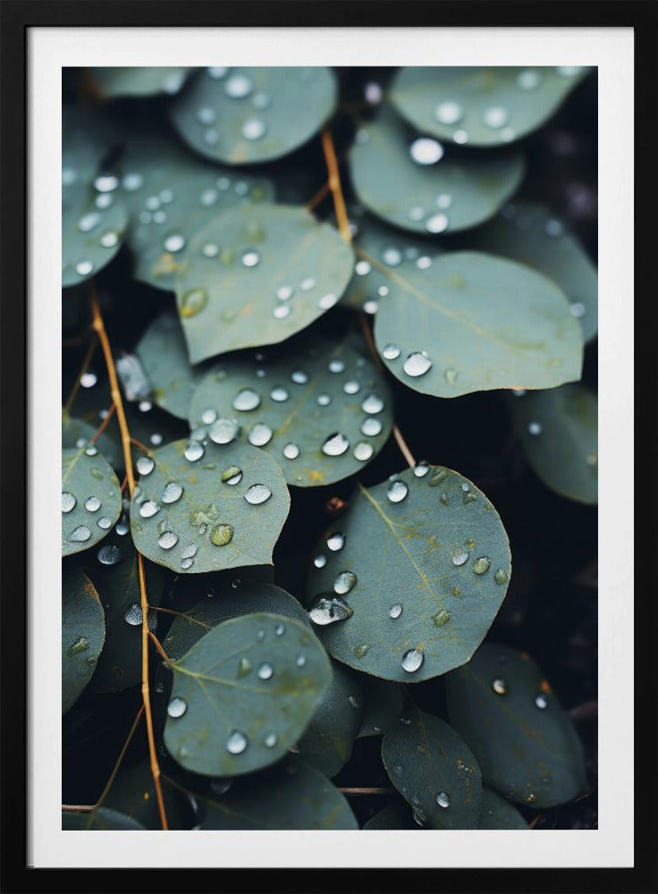 Door de regen gekuste bladeren | Poster