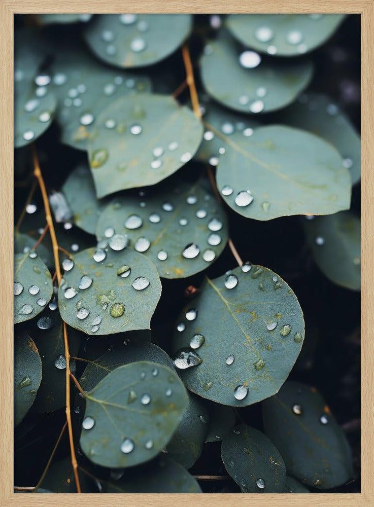 Door de regen gekuste bladeren | Poster
