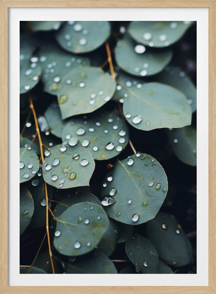 Door de regen gekuste bladeren | Poster