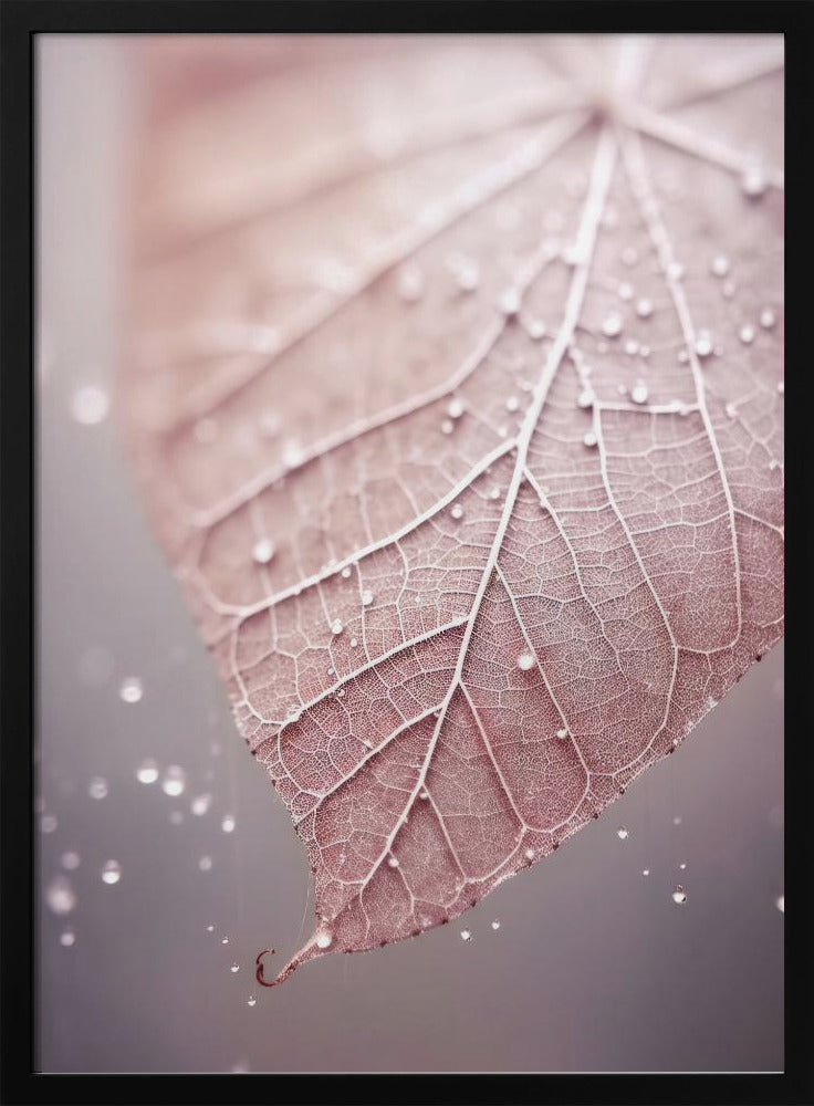 Veins of Serenity | Poster