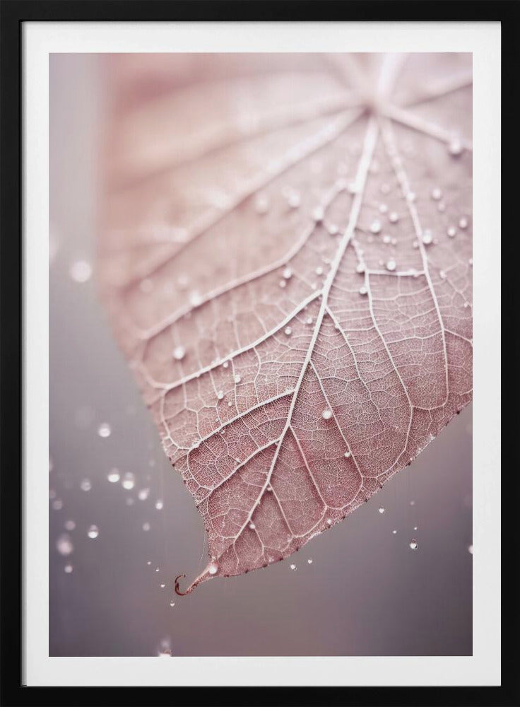 Veins of Serenity | Poster