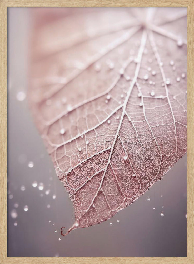 Veins of Serenity | Poster