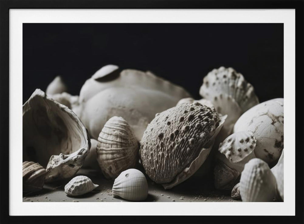 Shell Symphony | Poster