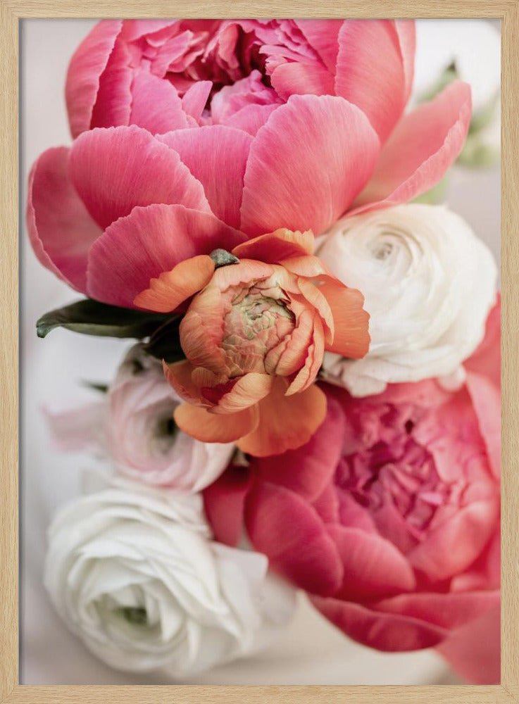 Spring Flowers 1 | Poster