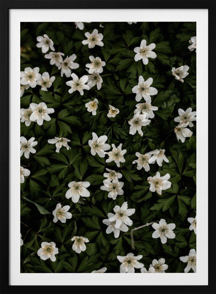 Tiny Flowers 2 | Poster