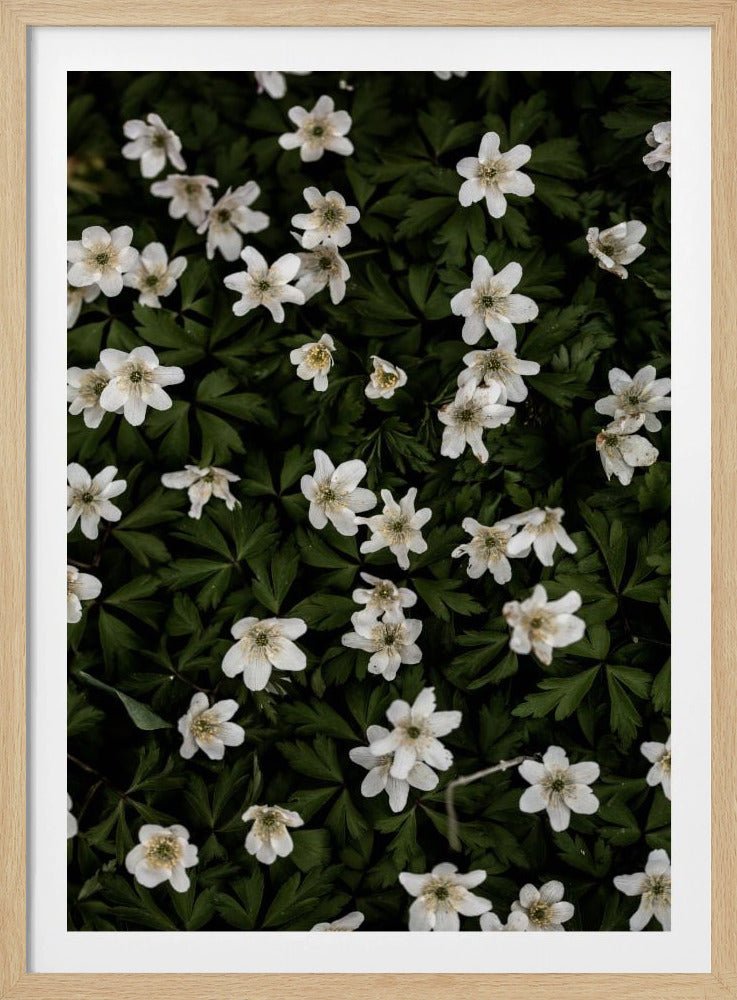 Tiny Flowers 2 | Poster