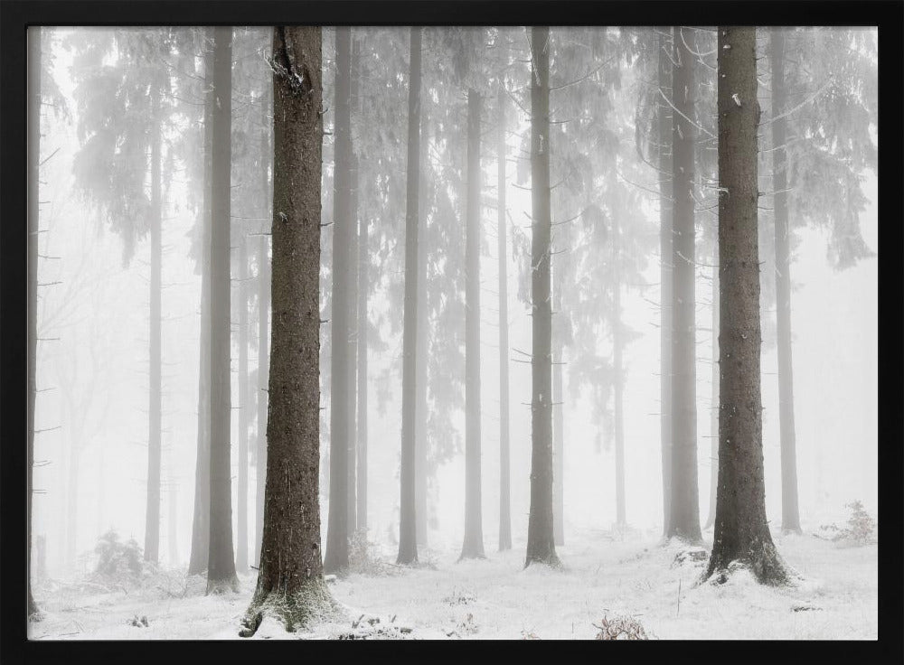 Winterbos | Poster