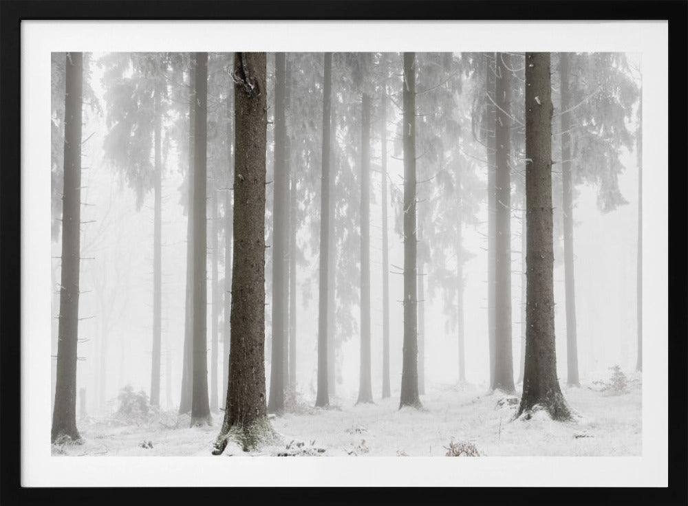 Winterbos | Poster