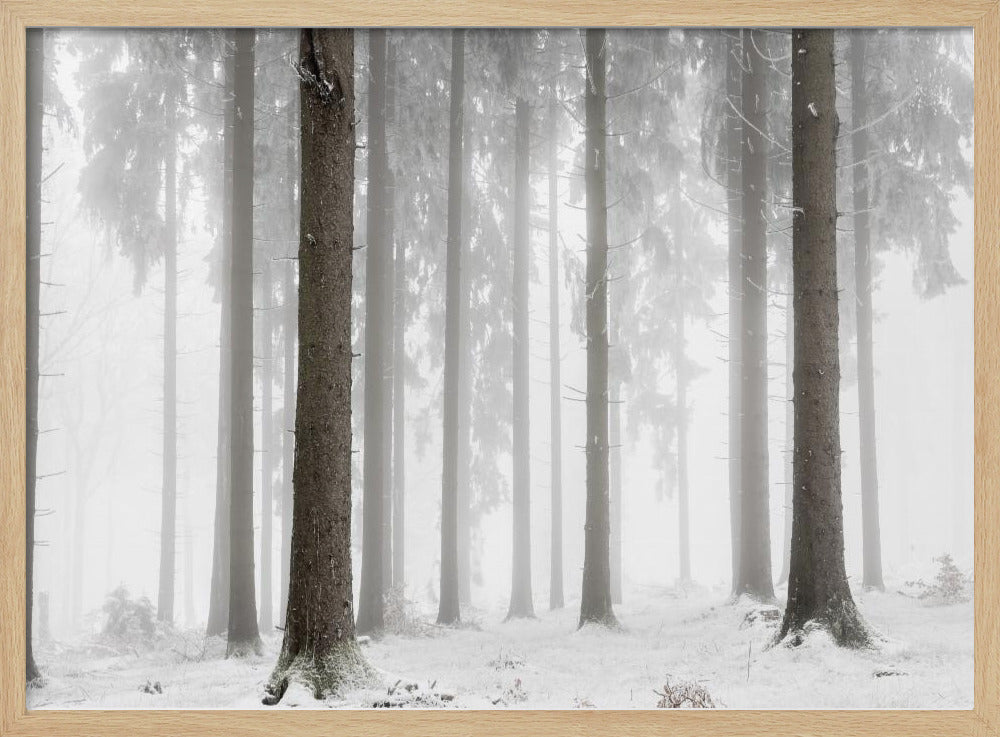 Winterbos | Poster